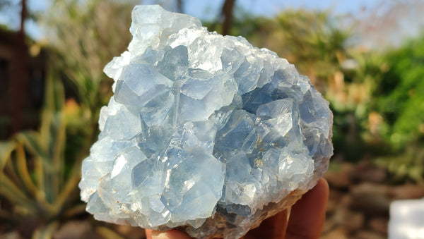 Natural Blue Celestite Crystal Specimens  x 2 From Sakoany, Madagascar