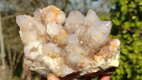 Natural Spirit Amethyst / Ametrine Quartz Clusters x 2 From Boekenhouthoek, South Africa