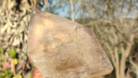 Polished Large Smokey Quartz Point x 1 From Angola