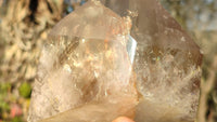 Polished Large Smokey Quartz Point x 1 From Angola