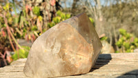 Polished Large Smokey Quartz Point x 1 From Angola