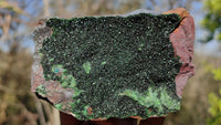 Natural Rare Libethenite Crystals With Drusy Dolomite On Banded Ironstone Matrix x 4 From Congo