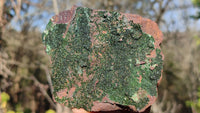 Natural Rare Libethenite Crystals With Drusy Dolomite On Banded Ironstone Matrix x 4 From Congo