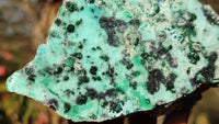 Natural Drusy Chrysocolla & Malachite Dolomite Specimens x 3 From Congo