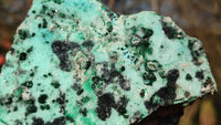 Natural Drusy Chrysocolla & Malachite Dolomite Specimens x 3 From Congo