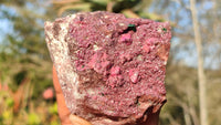 Natural Pink Salrose Cobaltion Dolomite Specimens  x 6 From Kakanda, Congo