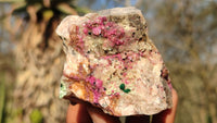 Natural Pink Salrose Cobaltion Dolomite Specimens  x 6 From Kakanda, Congo