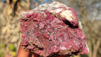 Natural Pink Salrose Cobaltion Dolomite Specimens  x 6 From Kakanda, Congo