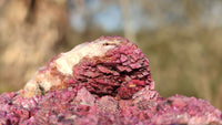 Natural Pink Salrose Cobaltion Dolomite Specimens  x 6 From Kakanda, Congo