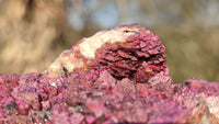 Natural Pink Salrose Cobaltion Dolomite Specimens  x 6 From Kakanda, Congo