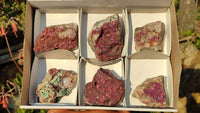 Natural Pink Salrose Cobaltion Dolomite Specimens  x 6 From Kakanda, Congo