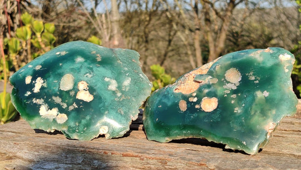 Polished On One Side Emerald Mtorolite Plates x 2 From Mutorashanga, Zimbabwe