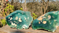 Polished  Chrome Chrysoprase / Emerald Mtorolite Plates  x 2 From Zimbabwe