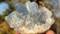 Natural Blue Celestite Crystal Specimens  x 6 From Sakoany, Madagascar