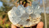 Natural Blue Celestite Crystal Specimens  x 6 From Sakoany, Madagascar