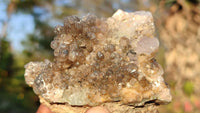 Natural Mixed Matrix Quartz Specimens x 6 From Brandberg, Namibia