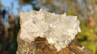 Natural Mixed Matrix Quartz Specimens x 6 From Brandberg, Namibia