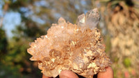 Natural Mixed Matrix Quartz Specimens x 6 From Brandberg, Namibia