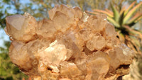 Natural Smokey White Phantom Quartz Cluster x 1 From Luena, Congo