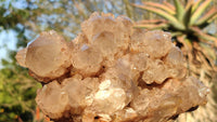 Natural Smokey White Phantom Quartz Cluster x 1 From Luena, Congo