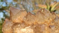 Natural Smokey White Phantom Quartz Cluster x 1 From Luena, Congo