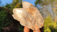 Natural Candle Quartz Crystal Clusters x 6 From Madagascar