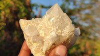 Natural Candle Quartz Crystal Clusters x 6 From Madagascar