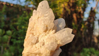 Natural Candle Quartz Crystal Clusters x 6 From Madagascar