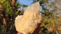 Natural Candle Quartz Crystal Clusters x 6 From Madagascar