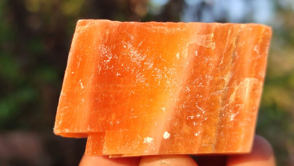 Natural New Sunset Orange Calcite Specimens x 35 From Spitzkop, Namibia