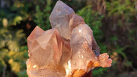 Natural Red Hematoid Quartz Specimens x 3 From Karoi, Zimbabwe