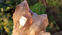 Natural Red Hematoid Quartz Specimens x 3 From Karoi, Zimbabwe