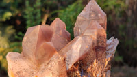 Natural Red Hematoid Quartz Specimens x 3 From Karoi, Zimbabwe