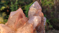 Natural Red Hematoid Quartz Specimens x 3 From Karoi, Zimbabwe