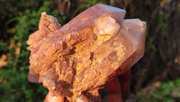 Natural Red Hematoid Quartz Specimens x 3 From Karoi, Zimbabwe