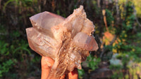 Natural Red Hematoid Quartz Specimens x 3 From Karoi, Zimbabwe