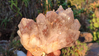 Natural Red Hematoid Quartz Specimens x 3 From Karoi, Zimbabwe