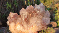 Natural Red Hematoid Quartz Specimens x 3 From Karoi, Zimbabwe