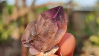 Natural Skeletal & Sceptre Smokey Amethyst Crystals  x 12 From Chiredzi, Zimbabwe