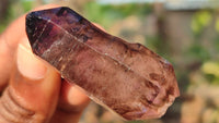 Natural Skeletal & Sceptre Smokey Amethyst Crystals  x 12 From Chiredzi, Zimbabwe