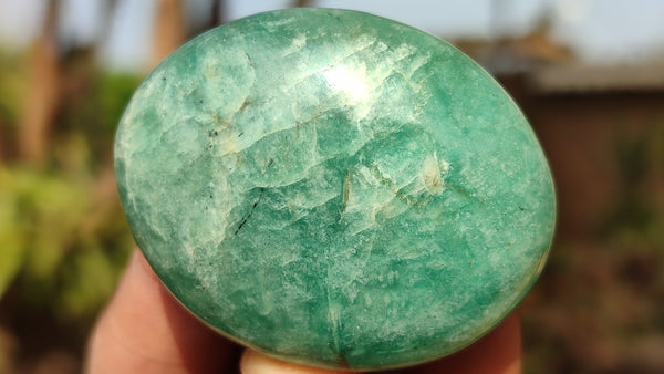 Polished  Blue Amazonite Palm Stones  x 20 From Madagascar