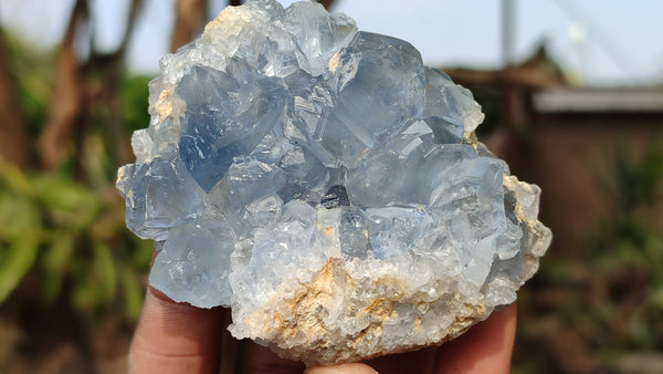 Natural Blue Celestite Crystal Specimens  x 6 From Sakoany, Madagascar