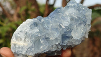 Natural Blue Celestite Crystal Specimens  x 6 From Sakoany, Madagascar