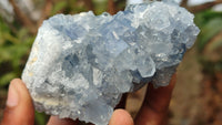 Natural Blue Celestite Crystal Specimens  x 6 From Sakoany, Madagascar