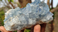 Natural Blue Celestite Crystal Specimens  x 6 From Sakoany, Madagascar