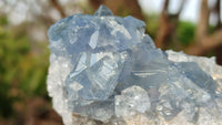 Natural Blue Celestite Crystal Specimens  x 6 From Sakoany, Madagascar