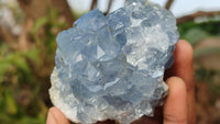 Natural Blue Celestite Crystal Specimens  x 6 From Sakoany, Madagascar