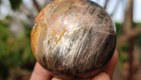 Polished  Chatoyant Black Moonstone Spheres x 6 From Madagascar