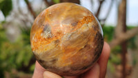 Polished  Chatoyant Black Moonstone Spheres x 6 From Madagascar