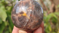 Polished  Chatoyant Black Moonstone Spheres x 6 From Madagascar